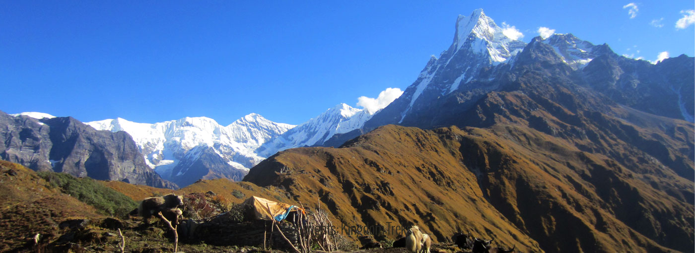 Dhampus Sarangkot Hike